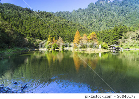 明池森林遊樂區迷人的湖畔景致倒影成雙 56840172