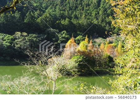 明池森林遊樂區迷人的湖畔景致倒影成雙 56840173