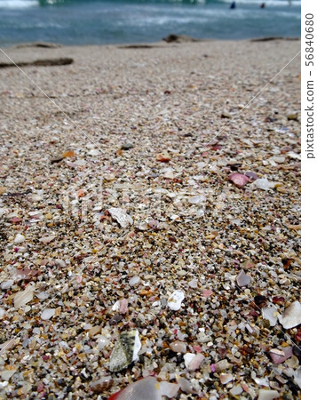 [Izu many Tohama] Beautiful beach with lots of shells falling 56840680