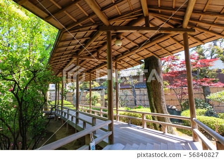 Shibamata皇帝Shaten Tenkeien走廊 56840827