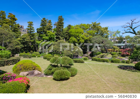 Shibamata Taishakuten Shukeien 56840830