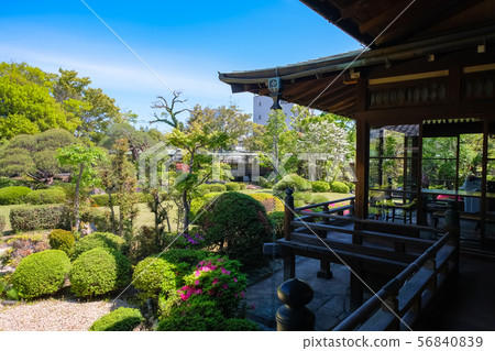 Shibamata Taishakuten Shukeien Shibamata Taishakuten Shukeien 56840839