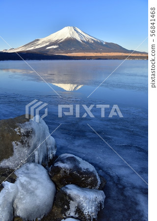 山中湖和富士山倒掛 山中湖和富士山倒掛 56841468