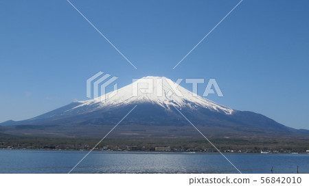 Fuji Five Lakes_Lake Yamanaka_Nagaike_Spring_H430I3989 56842010