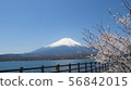 Fuji Five Lakes_Lake Yamanaka_Nagaike_Spring_Cherry Blossom_H430M4090 56842015