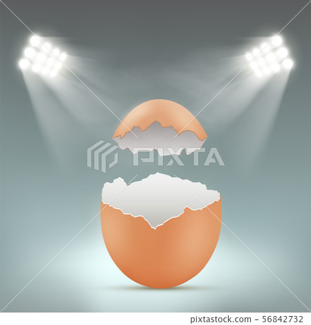 Broken empty blank chicken egg with spotlights 56842732