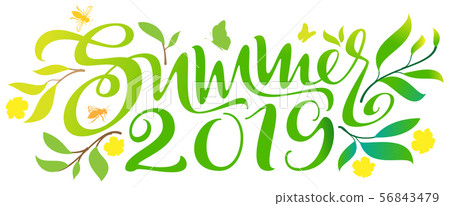 Summer 2019 hand written calligraphy text ornate 56843479