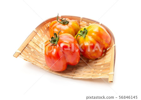 條紋洞穴 56846145