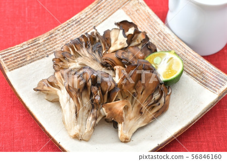 Grilled maitake, grilled maiko, grilled maitake, simple grilled mushrooms. Served with a seeker. Grilled maitake, grilled maiko, grilled maitake, simple grilled mushrooms. Served with a seeker. 56846160