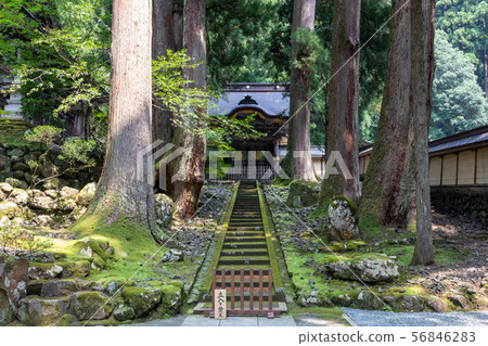 Eiheiji Temple 56846283