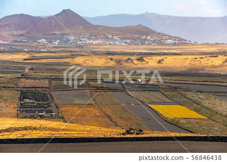 Dry volcanic ccultivated fields Lanzarote island Spain 56846438