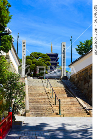 中山寺接近西部33個國家 中山寺接近西部33個國家 56846609