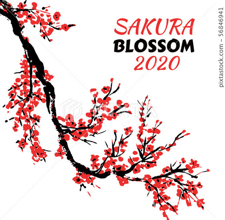 Cherry blossom Sakura bloom template 56846941