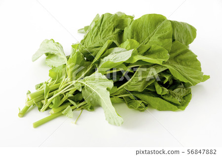Amaranth leaves (leaf vegetables) 56847882