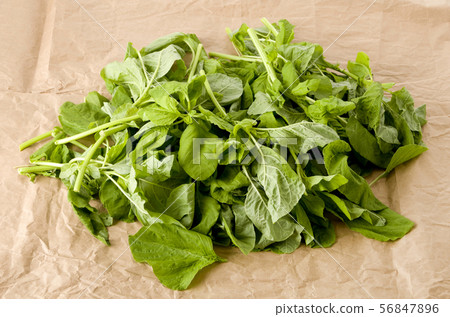 Amaranth leaves (leaf vegetables) 56847896