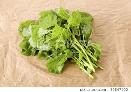 Amaranth leaves (leaf vegetables) 56847900