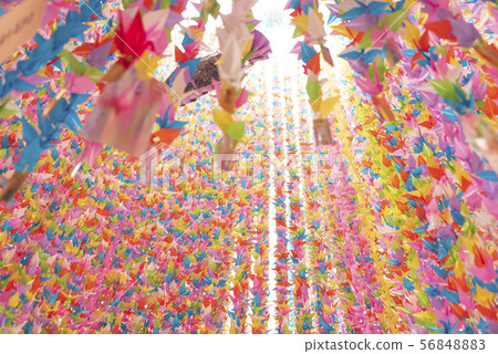 仙台Tanabata 2019 56848883