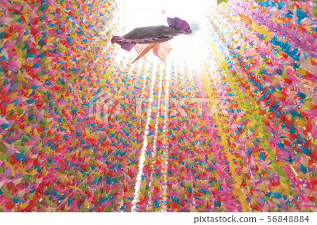 仙台Tanabata 2019 56848884