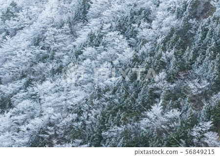  有霧的冰 56849215