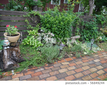 A garden full of green with a brick path A garden full of green with a brick path 56849244