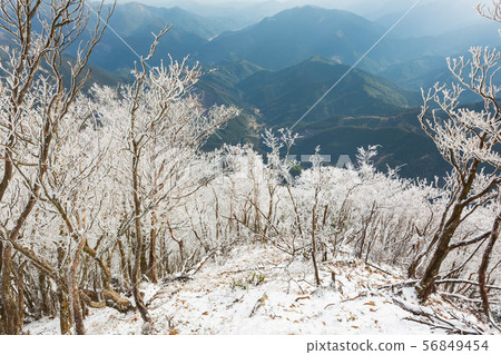 霧靄在山頂上 56849454