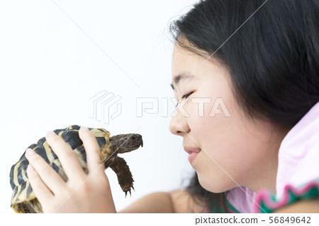 Girl and pet tortoise 56849642