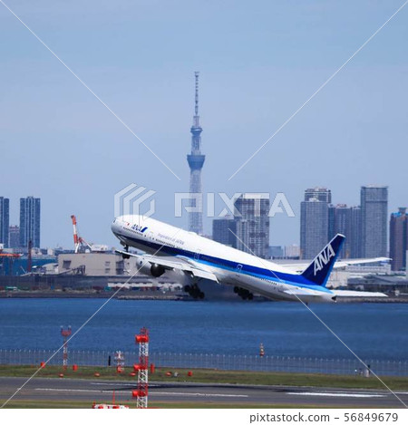 Airplane and Sky Tree 56849679