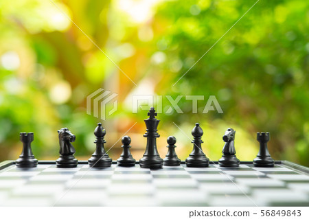 chessboard with a chess piece on the back 56849843