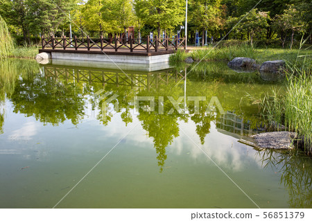 風景 56851379