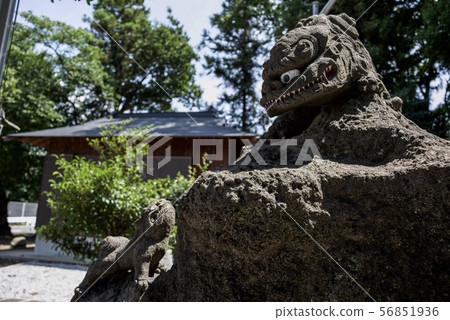 Kaminamihata神社在夏天 Kaminamihata神社在夏天 56851936