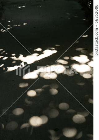 Sunlight and round bokeh Sunlight and round bokeh 56852086
