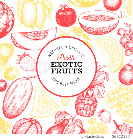Fruits and berries design template. Hand drawn-插圖素材 [56852153] - PIXTA圖庫