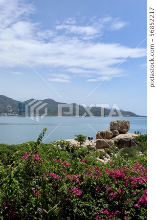 越南芽莊 56852217