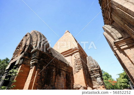 越南芽莊 56852252