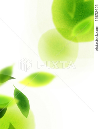 Felt leaf texture 56852603