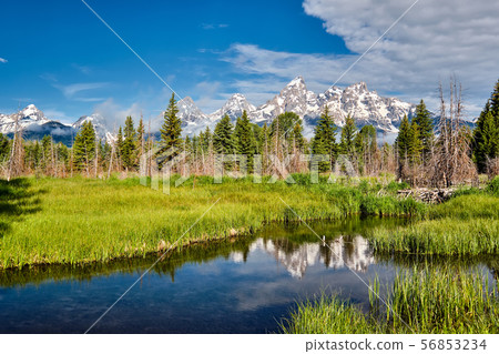 Mountains in Grand Teton National Park with 56853234