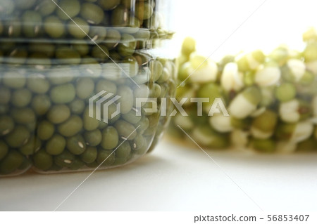 Bean sprouts 56853407