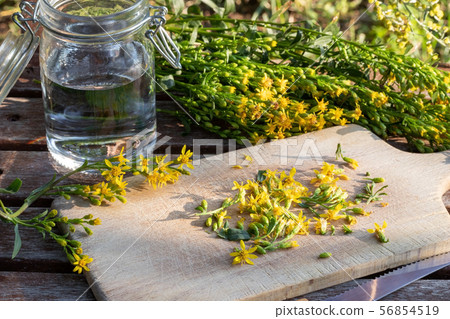 Preparation of tincture from European goldenrod Preparation of tincture from European goldenrod 56854519