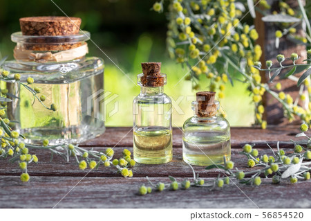 Bottles of essential oil with blooming wormwood 56854520
