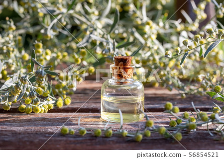 A bottle of essential oil with blooming wormwood 56854521