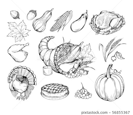 Autumn holiday hand drawn vector symbols set 56855367