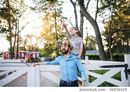 A portrait of father with small daughter outdoors on family farm. 56856429