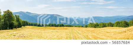 beautiful panorama of a summer mountain landscape 56857684