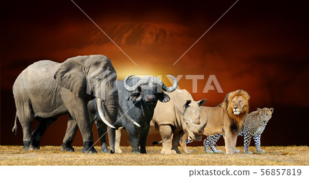Big five on savanna landscape background and Mount 56857819