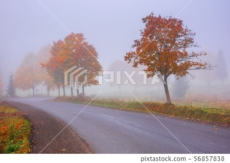 road winding through fog in autumn road winding through fog in autumn 56857838