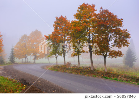 road winding through fog in autumn 56857840