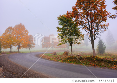road winding through fog in autumn 56857841