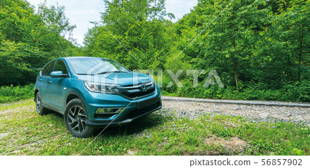 honda crv in the forest honda crv in the forest 56857902