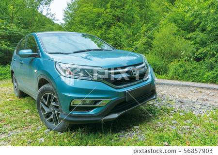 honda crv in the forest 56857903