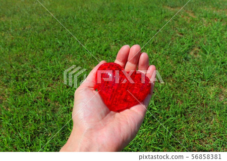 Caring image 56858381